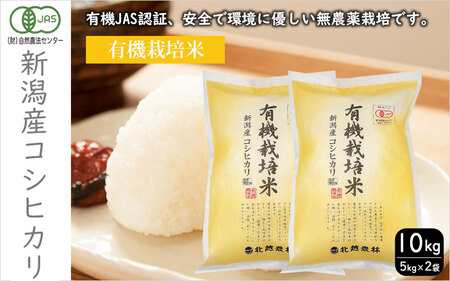 L@͔| VYRVqJ10kg    Ђ V