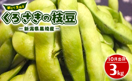 9月末～10月くろさきの枝豆 3kg 新潟県黒埼産 朝どり生枝豆