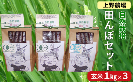 _ R͔|cڃZbg 1kg×3    Vs