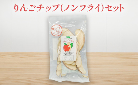 りんごチップ（ノンフライ）セット リンゴ チップス お菓子 お取り寄せ 新潟市