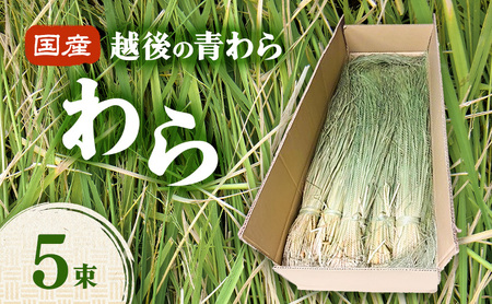 国産越後の青刈り わら5束 青わら しめ飾り インテリア ハンドメイド 国産 新潟 越後