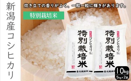 ʍ͔|ĐVYRVqJ10kg    R ͂ V  RVqJ uh   Yn