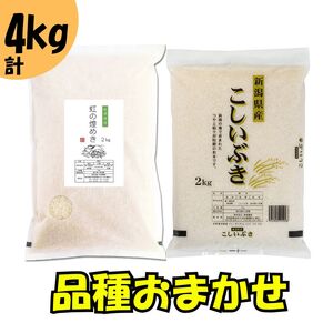 【最短3日配送】新潟県産 品種おまかせ 4kg 新潟県 新潟市産 令和7年産 お米 精米 米 ご飯 送料無料