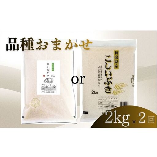 [6月下旬より配送] 新潟県産 品種おまかせ 2kg 2か月定期便 新潟県 新潟市産 令和7年産 お米 精米 米 ご飯 送料無料