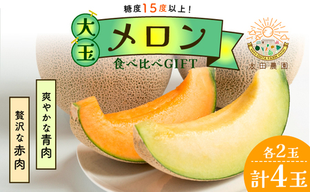 太田農園メロン“GIFT”赤肉メロン＆青肉メロンセット（各2玉ずつ） メロン セット 糖度 赤肉 青肉  高級 果物 フルーツ おやつ デザート 新潟 夏フルーツ 