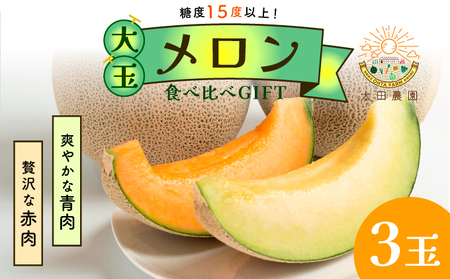 太田農園メロン“GIFT"赤肉メロン&青肉メロンセット(合計3玉) 2025年 先行予約 メロン セット 糖度 赤肉 青肉 高級 果物 フルーツ おやつ デザート 新潟 夏フルーツ