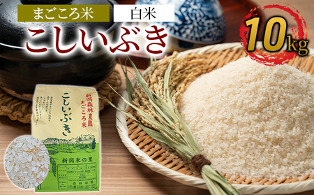 まごころ米こしいぶき10kg(白米)