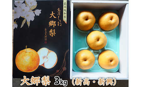 大郷梨 3kg(新高・新興) 梨 新高梨 新興梨 詰め合わせ セット 和梨 なし ナシ 新高 新興 フルーツ 果物 デザート おやつ ギフト 贈答 プレゼント 国産 新潟