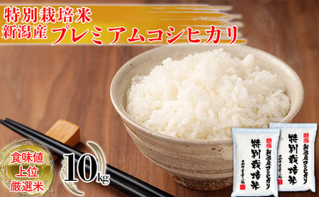 特別栽培米 新潟産コシヒカリ白米 10kg（5kg×2） お米 こしひかり 