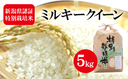 令和5年産 新潟県認証特別栽培米 ミルキークイーン 5kg