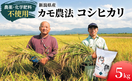 カモ農法コシヒカリ5kg 米 精米 白米 コシヒカリ 5kg こめ コメ お米 おこめ こしひかり カモ農法 農薬不使用 化学肥料不使用 新潟 新潟県