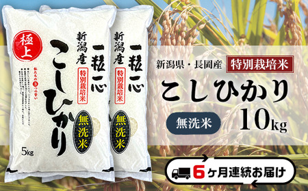 48-7M106【6ヶ月連続お届け】【無洗米】新潟県長岡産特別栽培米コシヒカリ10kg
