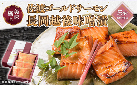 66-15美味極上 佐渡ゴールドサーモンの長岡越後味噌漬 5切入
