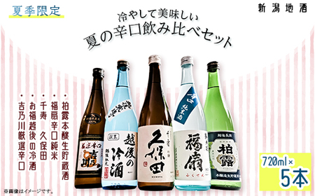 C1-C4A冷やして美味しい夏の辛口飲み比べセット 720ml×5本
