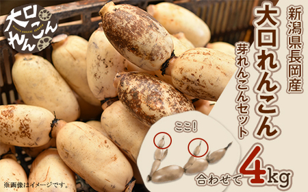 75T-04y񂱂zVYR4kgi3.6kg+񂱂0.4kgj