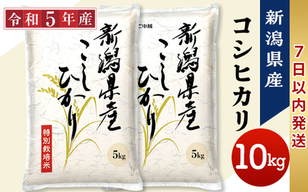 75-5N101【7日以内発送】新潟県長岡産特別栽培米コシヒカリ10kg（5kg×2）【令和5年産】