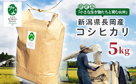 25-7SC051[精米]新潟県長岡産コシヒカリ5kg[「小さな生き物たちと育むお米」認証品]
