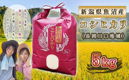 P4-01�V���������Y�R�V�q�J���i��������n��j 5kg