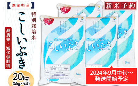 75-6K201新潟県長岡産特別栽培米こしいぶき20kg（5kg×4袋）