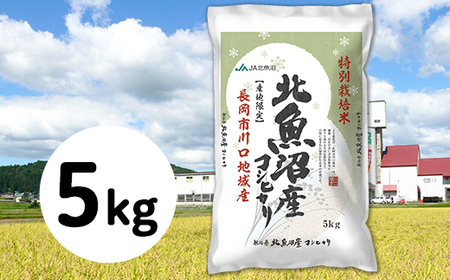 5S05-1北魚沼産コシヒカリ特別栽培米5kg(長岡川口地域)