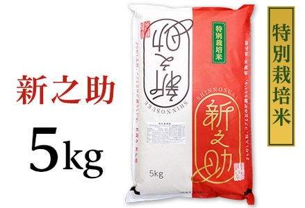 新潟県長岡産新之助5kg(特別栽培米)