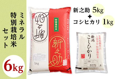 ミネラル特別栽培米セット6kg(長岡産新之助5kg・長岡産コシヒカリ1kg)