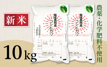 E1-S101A新潟県産米コシヒカリ10kg