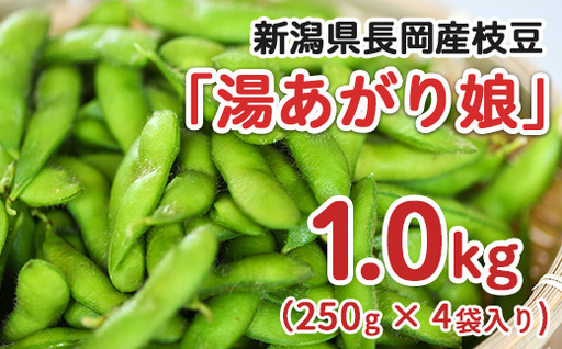 75E-20新潟県長岡産枝豆1.0kg[湯あがり娘250g×4袋入り]