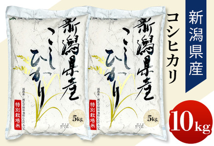 75-3N101新潟県長岡産特別栽培米コシヒカリ10kg(5kg×2)