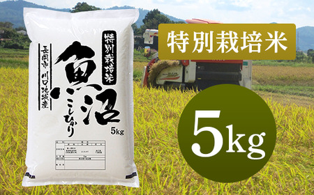 94-K51特別栽培米 新潟県魚沼産コシヒカリ（長岡川口地域）5kg