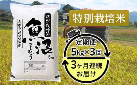 94-7K53y3A͂zʍ͔| VYRVqJinj5kg