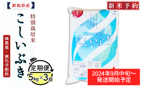 75-6K053【3ヶ月連続お届け】新潟県長岡産特別栽培米こしいぶき5kg