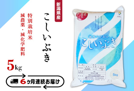 75-3K056【6ヶ月連続お届け】新潟県長岡産特別栽培米こしいぶき5kg