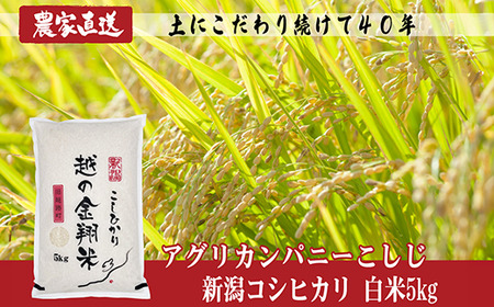 J8-5N051【越の金翔米】新潟県長岡産コシヒカリ5kg（特別栽培米）