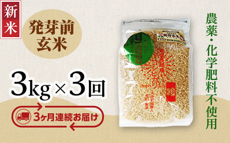 E1-H033A[3ヶ月連続お届け]新潟県長岡産コシヒカリ 発芽前玄米 3kg