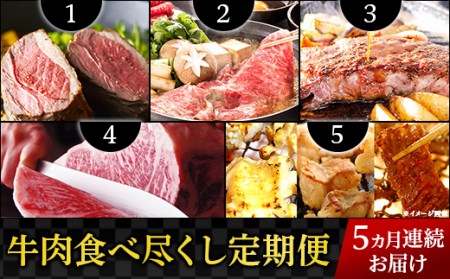 76-73A【5ヶ月連続お届け】牛肉食べ尽くし定期便