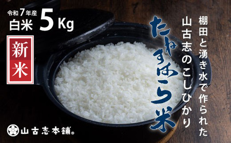 G3-7K05RÎûЂu˂͂āv5kgiVYRVqJj