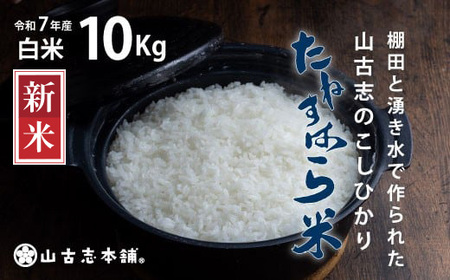 G3-7K10RÎûЂu˂͂āv10kgiVYRVqJj