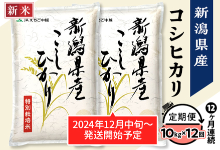 75-AN10Z【12ヶ月連続お届け】新潟県長岡産コシヒカリ10kg（特別栽培米）