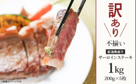 76-A0A【訳あり】不揃い 新潟県産牛（長岡産）サーロインステーキ1kg（200g×5枚）