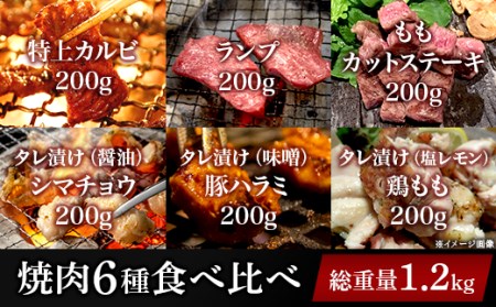 76-A1A焼肉6種食べ比べセット 6種×200g(総重量1.2kg)