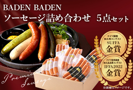 37-11BADEN@BADEN@\[Z[W5_Zbg