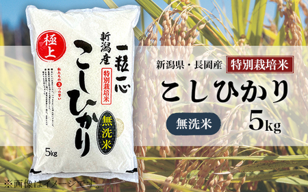 48-M051[無洗米]新潟県長岡産特別栽培米コシヒカリ5kg