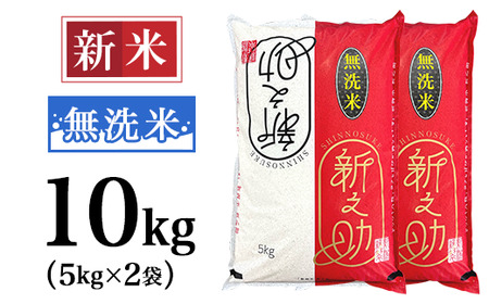 48-R101【無洗米】新潟県長岡産「新之助」10kg（5kg×2袋）