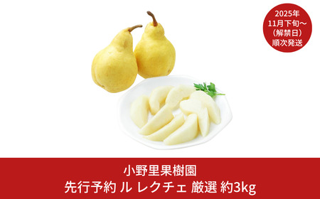 ys\z N`F I 3kg(6`9) VY N`F m  N`F(EN`F) [엢ʎ] y016S034z