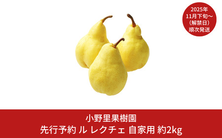 ys\z N`F Ɨp 2kg(5`7) VY N`F m  N`F(EN`F) [엢ʎ] y010S392z