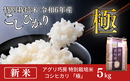 特別栽培米 コシヒカリ 「極」 5kg 令和6年産 こしひかり 新潟県認証 精米 白米 アグリ巧房[012S076]コシヒカリ コシヒカリ コシヒカリコシヒカリ