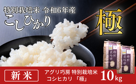 特別栽培米 コシヒカリ 「極」 10kg (5kg×2袋) 令和6年産 こしひかり 新潟県認証 精米 白米 アグリ巧房[024S027] 特別栽培米コシヒカリ こしひかり 特別栽培米 特別栽培米