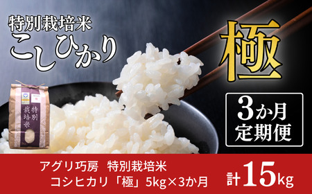 定期便 3ヵ月 コシヒカリ「極」5kg×3ヶ月 特別栽培米 令和7年産 一等米 こしひかり お米の定期便 計15kg 新潟県産 精米 お米 アグリ巧房