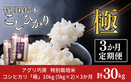 3 RVqJuɁv10kg×3 ʍ͔| ߘa7NY ꓙ Ђ Ђ Ă̒ v30kg (RVqJ5kg×6)  3 VY ʍ͔| ͕  
